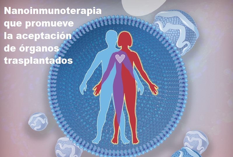 Emblema del proyecto NIETO-CM. Nanoinmunoterapia