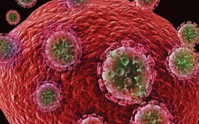 Efecto protector de linfocitos T HLA-B27/B57 CD8+ frente a la infección por HIV