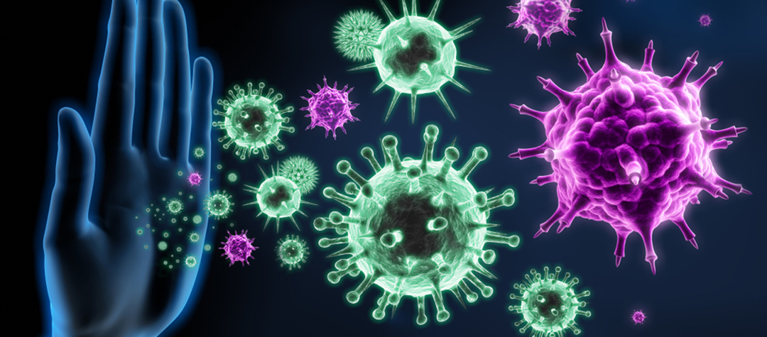 Respuesta del sistema inmune en la infección por SARS-CoV-2