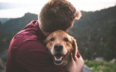 El mejor amigo del hombre: los perros podrían detectar el cáncer con precisión