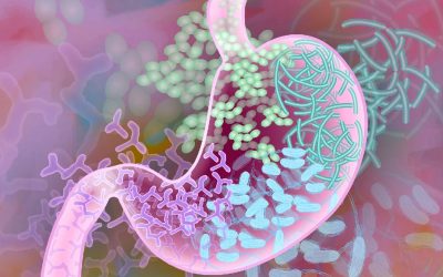 El papel de la microbiota intestinal en las enfermedades neurodegenerativas