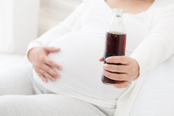 hábitos embarazo obesidad microbiota 