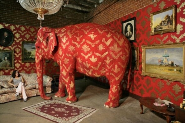Manejo de la hemodinámica del paciente - Imagen Banksy y elefante